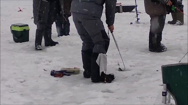 Сходы и поимки форели. Клёвое место, Лосиный остров, нижний водоём. смотреть онлайн