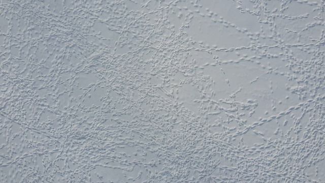 DJI Mavic Mini смотреть онлайн