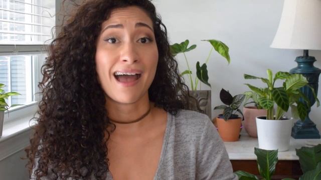 Your Calathea Zebrina Explained! Prayer Plant Care Tips for Your Calathea Zebrina Houseplant смотреть онлайн