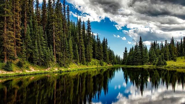 2H Beautiful Relaxing music Stress Relief Meditation смотреть онлайн