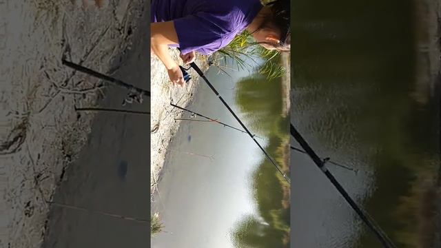 Широкий буерак Саратов, ловля линя на донку, черви и кукуруза смотреть онлайн