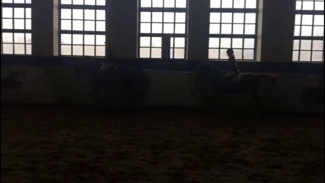 Соревнования в КСК 