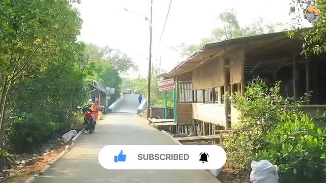 Лошадь начала наступать на гроб! крышка сломалась люди услышали крик смотреть онлайн