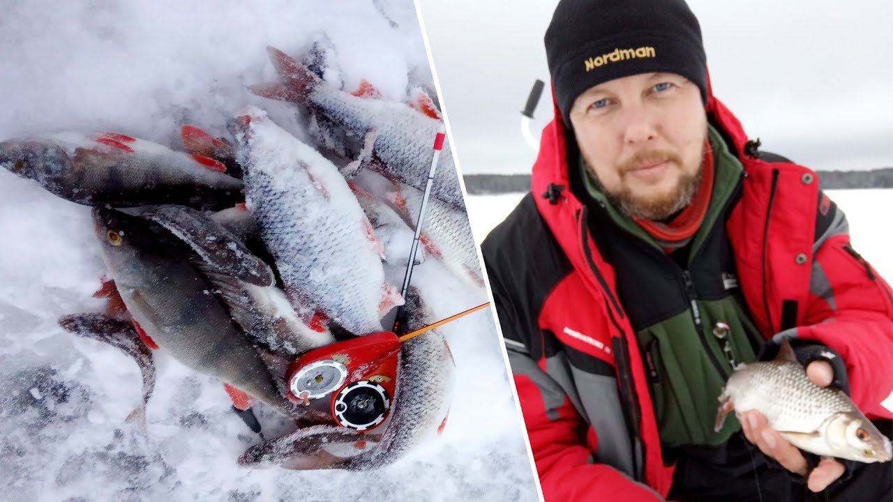 С мормышками Зелёный мыс за плотвой и окунем. Кто ищет, тот всегда найдёт! смотреть онлайн