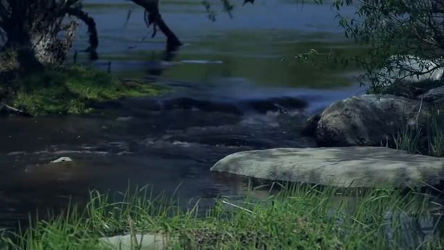 Перелаз смотреть онлайн