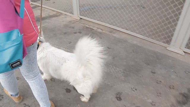 Урок Сострадания\\Первое место на международном фестивале в Тольятти смотреть онлайн