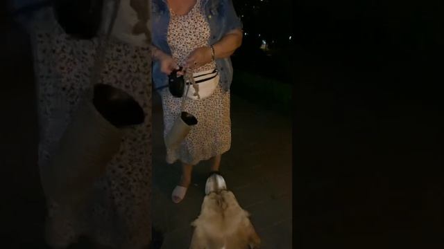 Прогулка по Платановому Бульвару! ЮМР #Краснодар смотреть онлайн