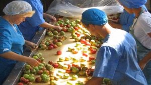 работа вахтой в Москве с проживанием и питанием, прямой работодатель без опыта работы