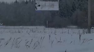 Pulsar Digex C50 выстрел на 357 метров по сетке М56Fi Mildot