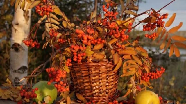 РЯБИНА АЛАЯ.... смотреть онлайн