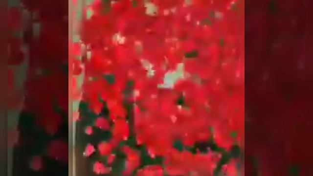 Джокер/Условный мент смотреть онлайн