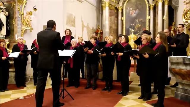 Vuprem oči (arr. Vinko Žganec) смотреть онлайн