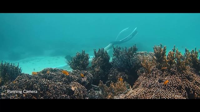 FIFISH V-EVO 4K 60FPS Underwater Drone: Evolution Through Imaging смотреть онлайн