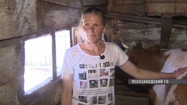 Жительница села Иннокентьевка начала свой агробизнес
