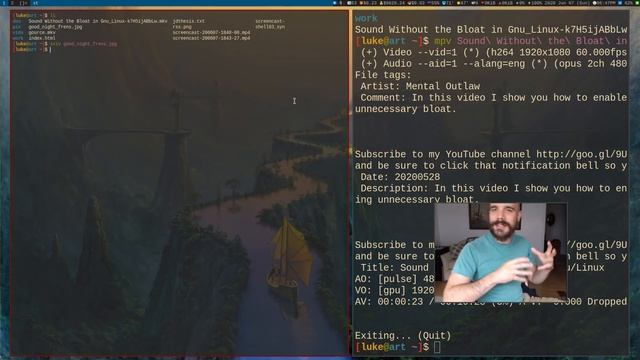 Does your Window Manager Swallow? смотреть онлайн