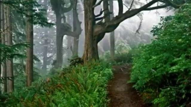 Rilo Kiley - Go Ahead смотреть онлайн