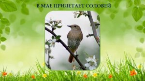 Видео - урок по предмету "Мир природы и человека". Тема: "Весна".