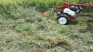 Сенокос мотоблоком 2020 или На что способен мотоблок ЗиД Фаворит