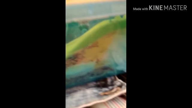 VLOG:9.06.19 отдых на даче с хомкой смотреть онлайн