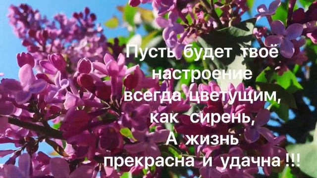 С праздником 1 Мая! С днём Весны и Труда! May Day! Is the holiday! смотреть онлайн