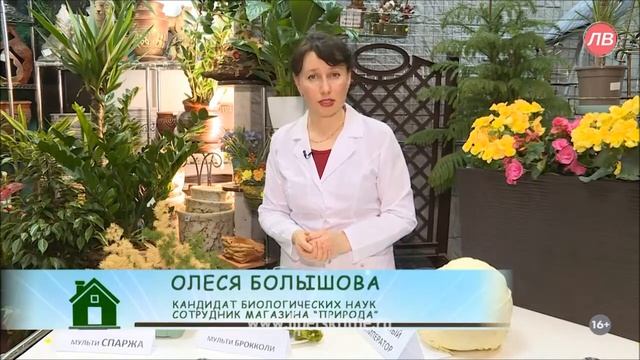 Многолетняя настоящая спаржа! Мульти брокколи. Научный подход. смотреть онлайн