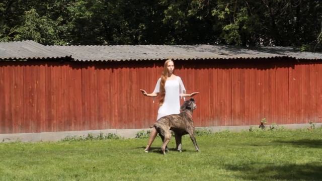 23 07 2016 Мастер НТМ Рублева Наташа и Рейн смотреть онлайн