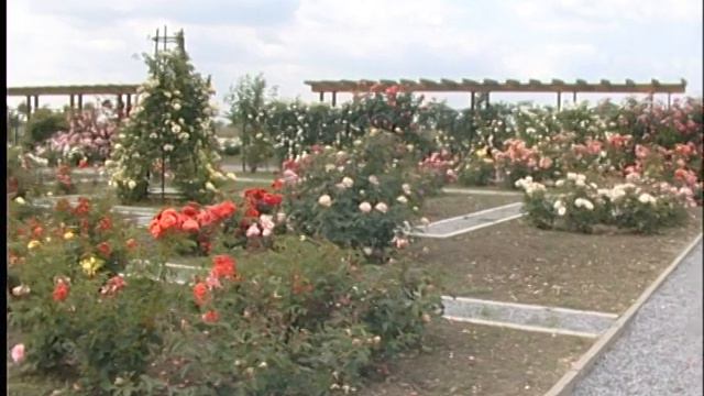 A film made by Duna TV about our Eutopia Projects смотреть онлайн