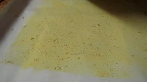 Пыльца сосны — где взять и как использовать.