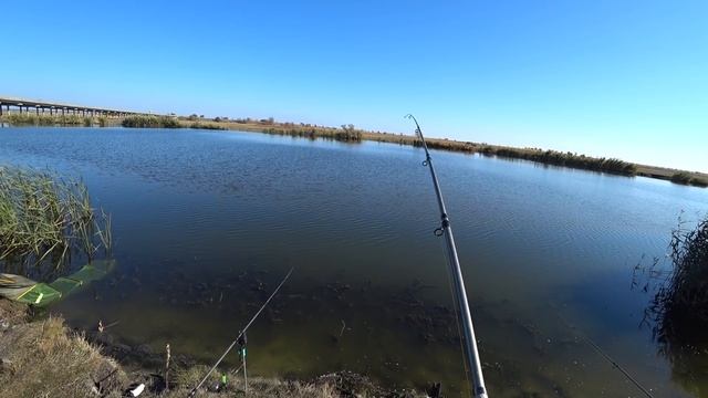 Рыбалка на РЕКЕ на КОРМАЧКИ. Руки устали от раздачи рыбы.Неожиданный КЛЁВ!!! смотреть онлайн