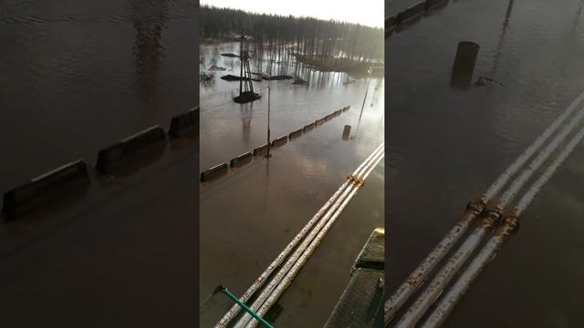 June 6, 2016 смотреть онлайн