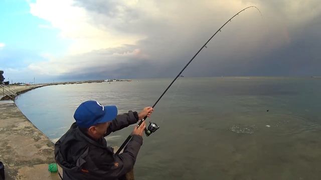 Ловля дорадо на Адриатике! Умаг, Истрия, Хорватия смотреть онлайн