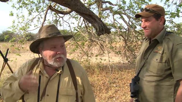 Tanzania Eland Hunt with Game Trackers Africa смотреть онлайн