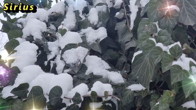 9 января Стефанов день: что категорически нельзя делать смотреть онлайн