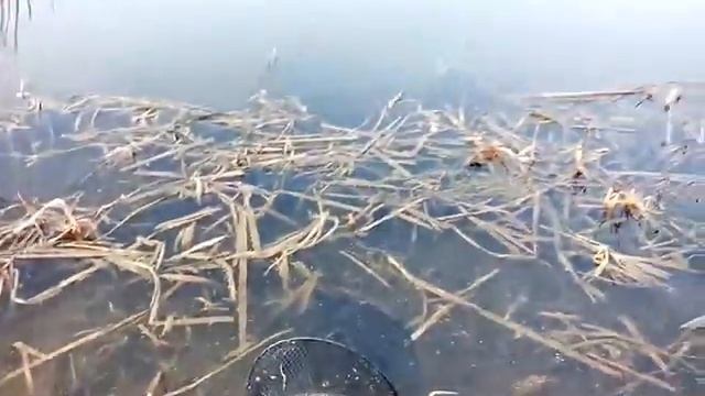 Весенняя рыбалка на реке Свапа смотреть онлайн