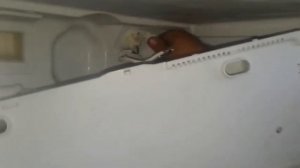 1 проверка таймера оттайки