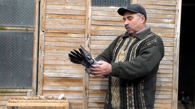 Подарок от брата 12.03.2019 года смотреть онлайн