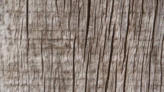 Костровая Чаша. Очаг на даче. Чаша для костра. Огонь воплощает мечты + 50 ФОТО смотреть онлайн