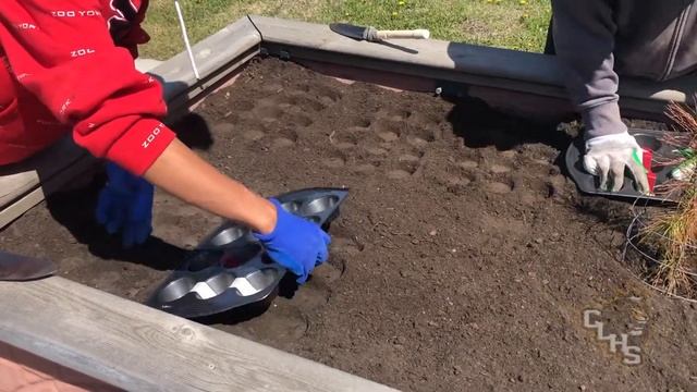 CLHS LifeSkills Nutrients for Life Garden Project смотреть онлайн