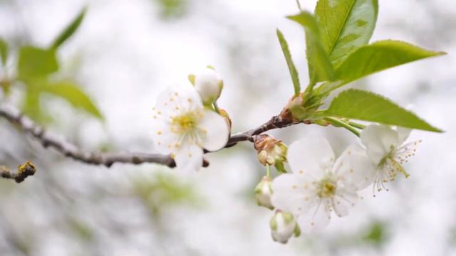 10 лет жизни за минуту. смотреть онлайн