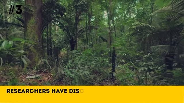 5 Intriguing Places You’re Not Allowed to Visit смотреть онлайн