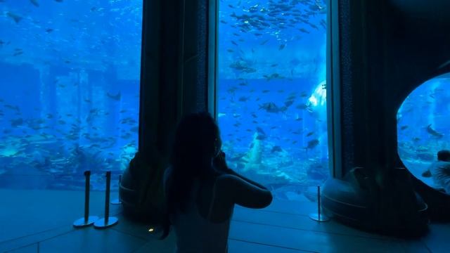 ОКЕАНАРИУМ ATLANTIS SANYA. НАВЕРНОЕ, ЭТО МОЙ РАЙ!? смотреть онлайн