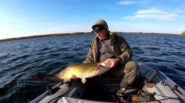 Осенний джиг. Сом, судак и уха на костре. Рыбалка в Самарской области. смотреть онлайн