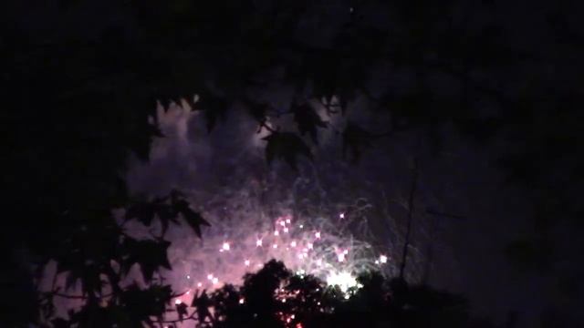 Праздничный салют в честь дня независимости в Узбекистане. 01.09.2019 год смотреть онлайн