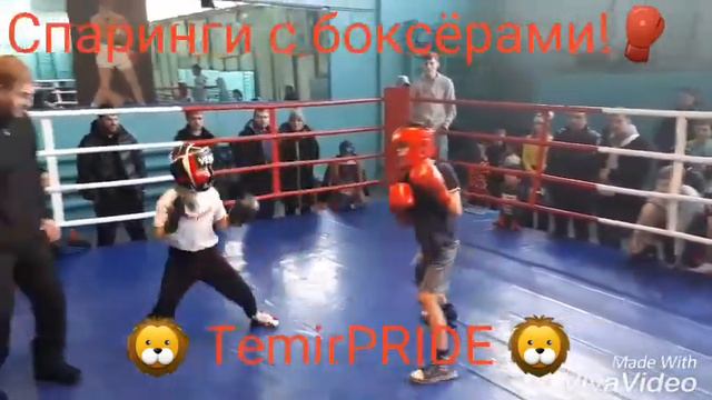 Спаринги с боксёрами 🥊🥊🥊 смотреть онлайн