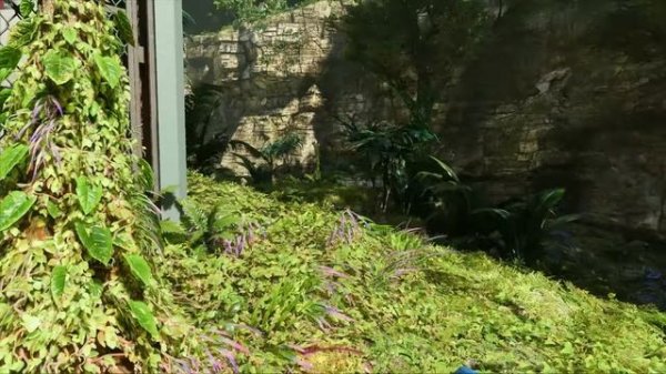 Ultra Graphics Avatar Frontiers of Pandora PC - AMD Radeon RX 5700 XT + AMD Ryzen 5 3600XT