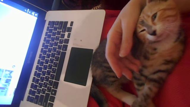 Отдохнувший Мастер равен восьми Мастерам". Лао Цзы. смотреть онлайн