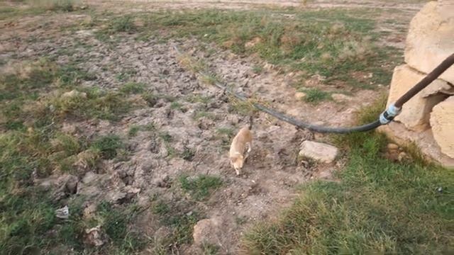 Крым на машине. Баня, Геотермальный источник. Низинное. смотреть онлайн