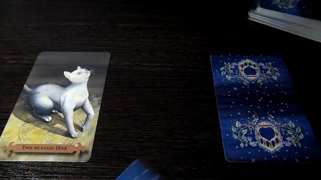 Гадание на 27 марта 2020 года. Карта дня. Таро Мистических Кошек. смотреть онлайн