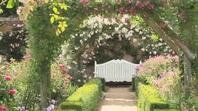 Worlds Most Beautiful Rose Gardens - Garden No 1 - Mottisfont Rose Gardens