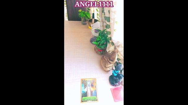 Today's Guidance | Energy Oracle Cards | ANGEL 11:11 #tarot #short # #oraclecards #tarotreading смотреть онлайн